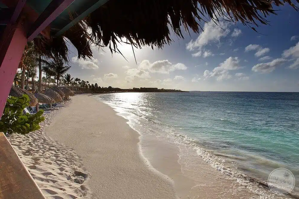 Divi Aruba Phoenix Beach Resort