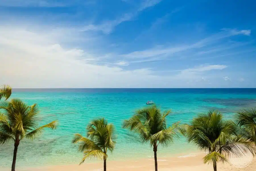 The Waves by Elegant Hotels